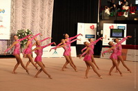 © ВФЭГ (RFAG)