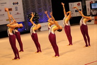© ВФЭГ (RFAG)