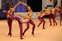 © ВФЭГ (RFAG)