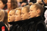 © ВФЭГ (RFAG)