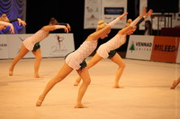 © ВФЭГ (RFAG)