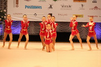 © ВФЭГ (RFAG)