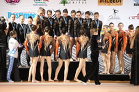 © ВФЭГ (RFAG)