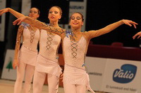 © ВФЭГ (RFAG)