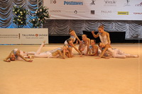 © ВФЭГ (RFAG)