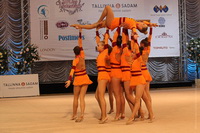 © ВФЭГ (RFAG)