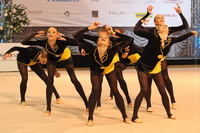 © ВФЭГ (RFAG)