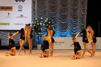 © ВФЭГ (RFAG)