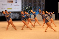 © ВФЭГ (RFAG)