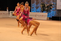 © ВФЭГ (RFAG)