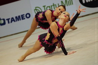 © ВФЭГ (RFAG)