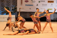© ВФЭГ (RFAG)