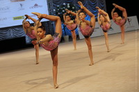 © ВФЭГ (RFAG)