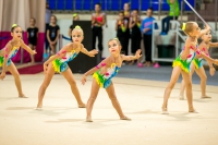 © ВФЭГ (RFAG)
