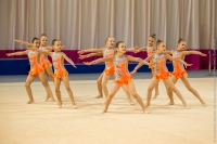 © ВФЭГ (RFAG)