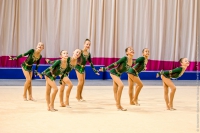 © ВФЭГ (RFAG)