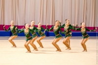 © ВФЭГ (RFAG)