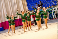 © ВФЭГ (RFAG)
