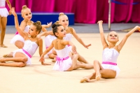 © ВФЭГ (RFAG)