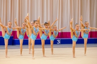 © ВФЭГ (RFAG)