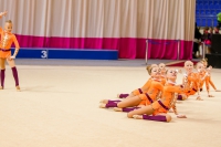 © ВФЭГ (RFAG)
