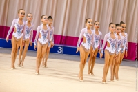 © ВФЭГ (RFAG)