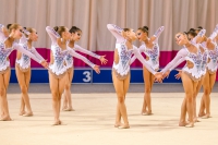 © ВФЭГ (RFAG)