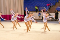 © ВФЭГ (RFAG)