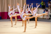 © ВФЭГ (RFAG)