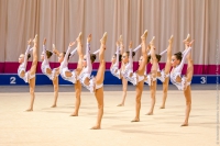 © ВФЭГ (RFAG)