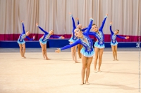 © ВФЭГ (RFAG)
