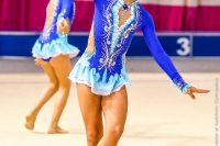 © ВФЭГ (RFAG)