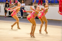 © ВФЭГ (RFAG)