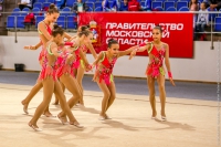 © ВФЭГ (RFAG)
