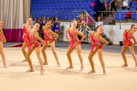 © ВФЭГ (RFAG)