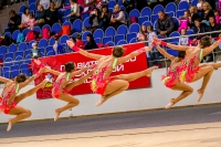 © ВФЭГ (RFAG)