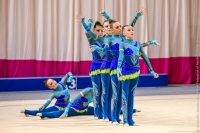 © ВФЭГ (RFAG)