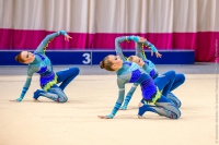 © ВФЭГ (RFAG)