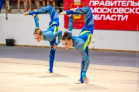 © ВФЭГ (RFAG)