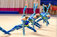 © ВФЭГ (RFAG)
