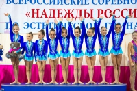 © ВФЭГ (RFAG)