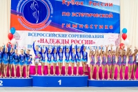 © ВФЭГ (RFAG)
