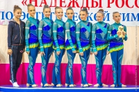© ВФЭГ (RFAG)