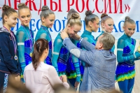 © ВФЭГ (RFAG)