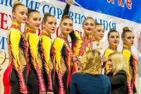 © ВФЭГ (RFAG)