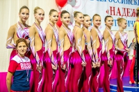 © ВФЭГ (RFAG)
