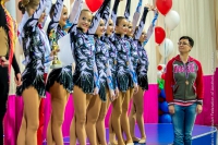 © ВФЭГ (RFAG)