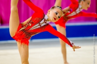 © ВФЭГ (RFAG)