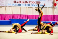 © ВФЭГ (RFAG)