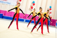 © ВФЭГ (RFAG)
